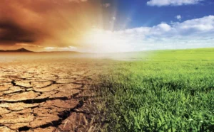 cambio_climatico