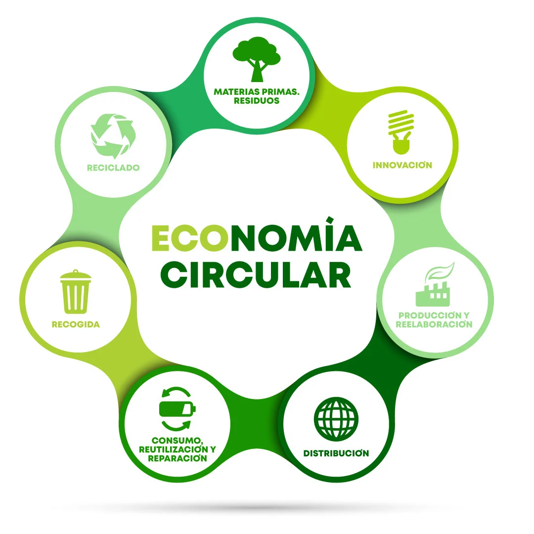 Economía circular: nuevas oportunidades de empleo verde